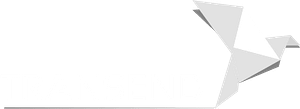 Logo TransEND