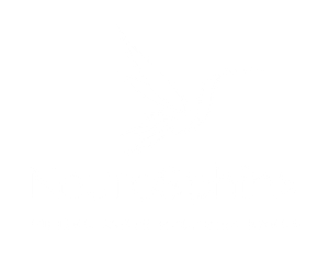 logo neurosphinx
