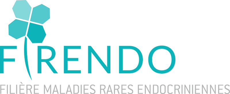 Logo FIRENDO